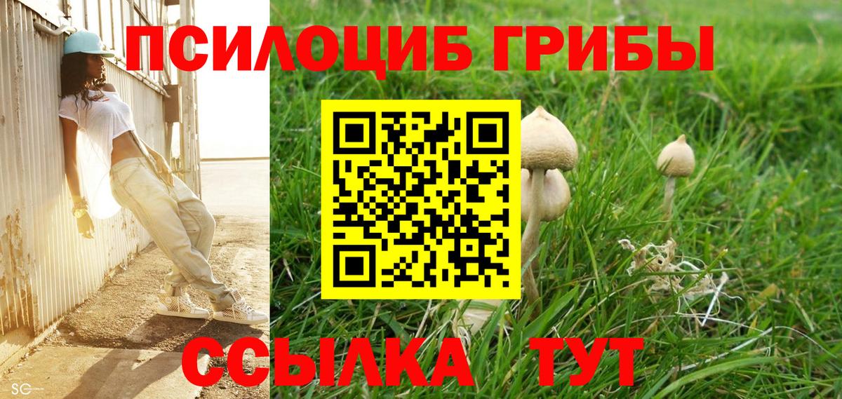Псилоцибиновые грибы прущие грибы  купить закладку  Сосновоборск  Вход с VPN  Псилоцибиновые грибы мухоморы 